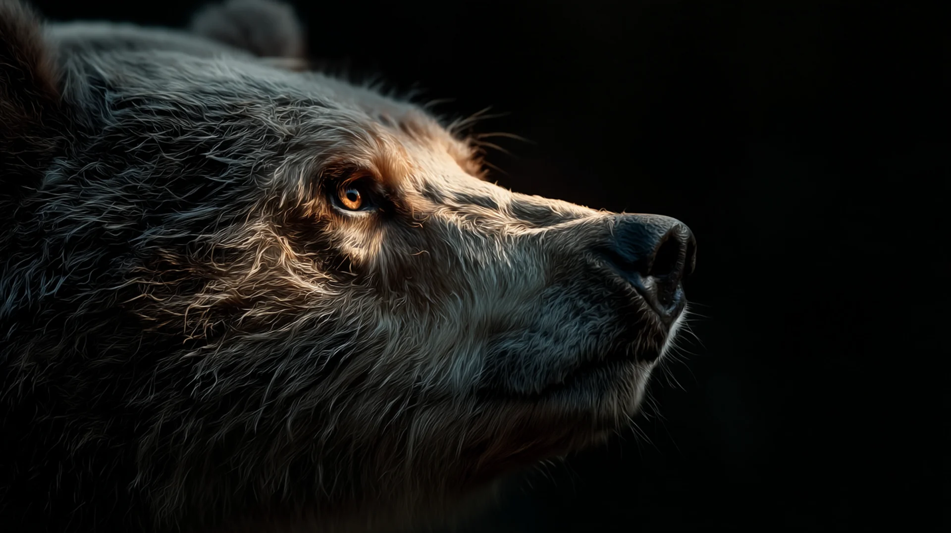 The guardian